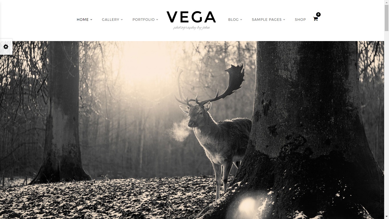 Wordpress Fotografenportfolio mit Shop VEGA